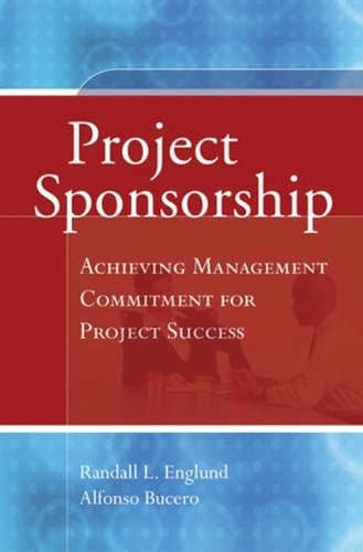 Project sponsorship achieving - project,