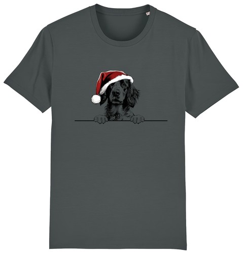 English setter christmas - english,