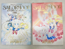 Sailor Moon Illustration Art