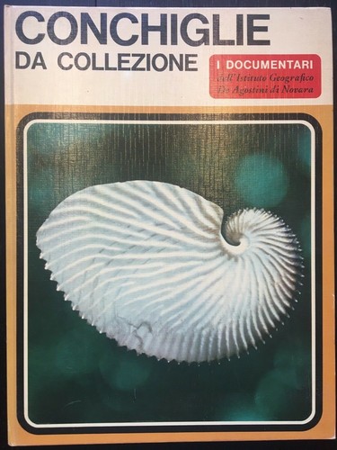 Conchiglie collezione - conchiglie, da
