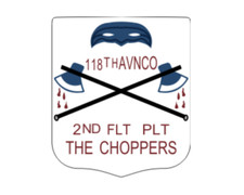 4" 118th ahc assault