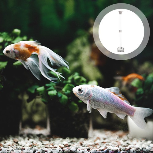 Pcs mangiatoia acquario - pcs,