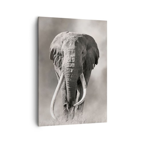 Quadro tela 50x70cm sole - 50x70cm,