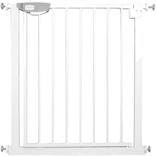 Cancello di sicurezza scales