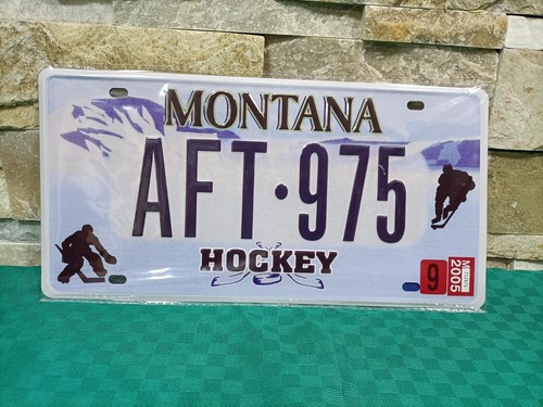 Targa auto americana montana - -,