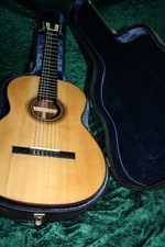 CHITARRA MASTER IN VALIGETTA,CHITARRA,PRONTA DA SUONARE,FATTA A MANO,CORDE NUOVE,F.P.DIETRICH