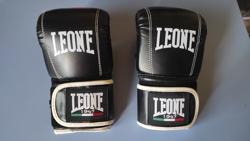Guantoni sacco leone - da,