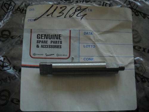 113184 alberino spinterogeno - 113184,
