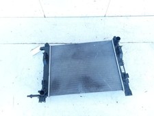 214107326R RADIATORE ACQUA