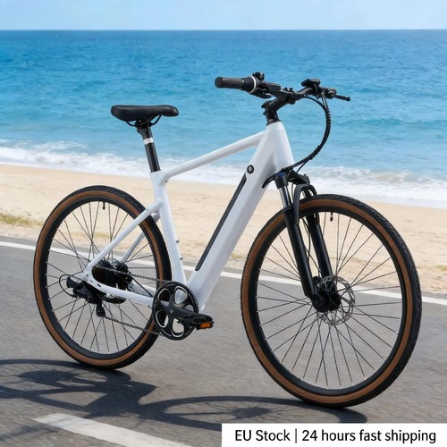 Bicicletta elettrica 25km - elettrica, 25km/h
