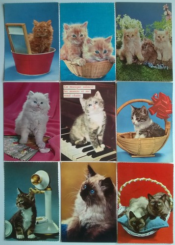 Gatti lotto 32 vintage - di,
