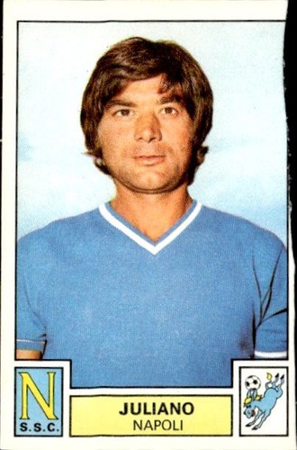 Figurina calciatori panini - figurina,