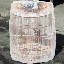  2 Pcs Rete Di Protezione Per