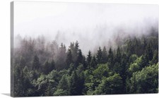 ARTCANVAS Foggy Forest Woods