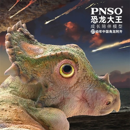 Pnso baby sinoceratops - sinoceratops, 27