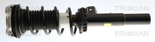 1x Ammortizzatore TRISCAN 8705