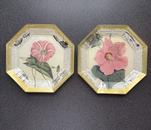 Piatti botanici decoupage