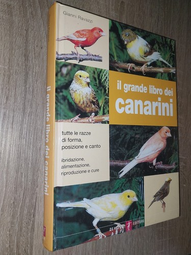 Ravazzi il grande libro - ravazzi,