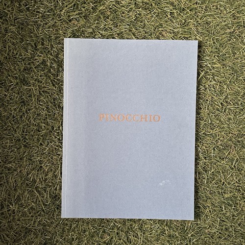 Pinocchio nasti mauro - pinocchio,