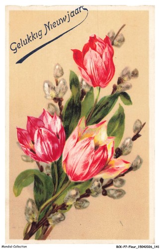 Bckp7 0483 fleur bouquet - -,