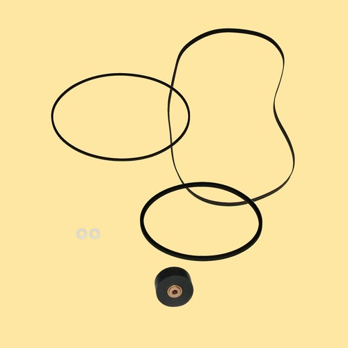 Cinghia rullo pressione - , kit