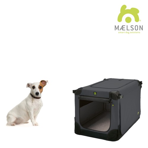 Maelson morbido kennel - maelson,