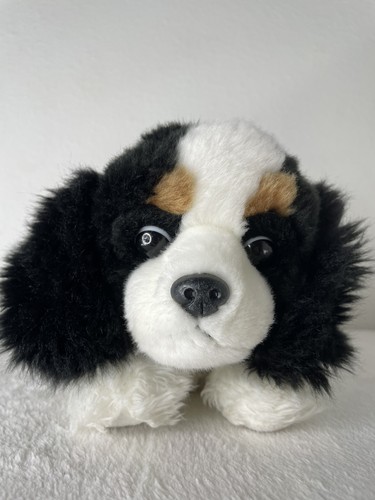 Peluche aurora cavalier king - peluche,