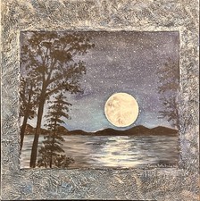 Quadro in Acrilico di un