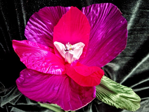 Grande spilla iris