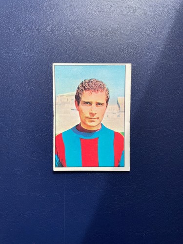 Panini calciatori 1965 - panini,