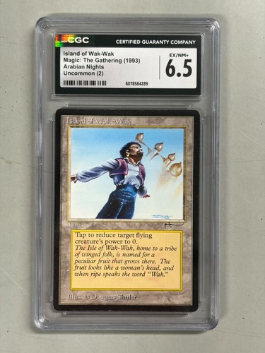 Mtg arabian nights isola - arabian,