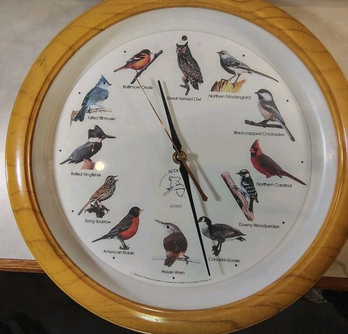 Orologio national audubon - orologio,