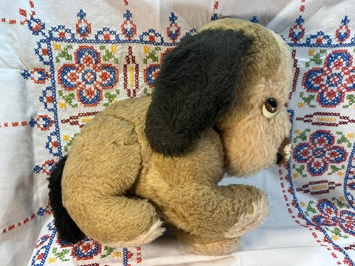 Cane peluche lenci - di, anni