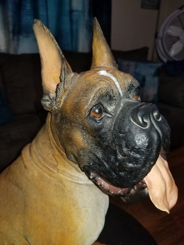 Enorme statua cane pugile - enorme,