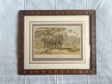 Placca stampa elefante