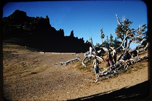 35mm slides yellowstone - 5x,