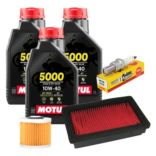 Tagliando yamaha 660 x - 660, r