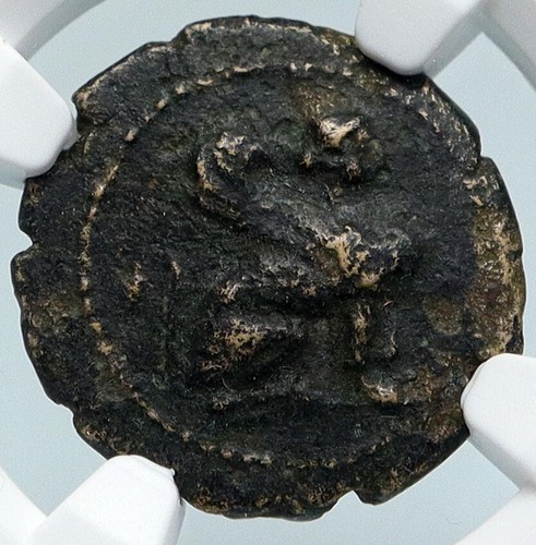 Perge pamphylia autentica - perge,