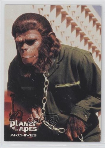 Carta promozionale 1999