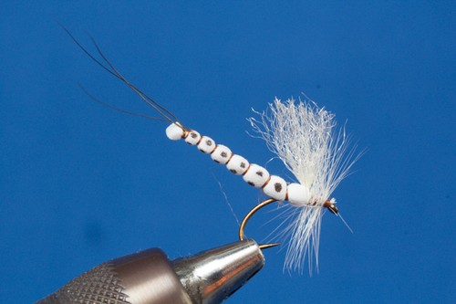 Fliegentom mosca secca - , 3