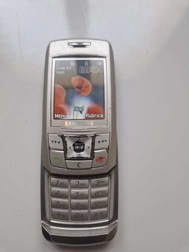 Samsung sgh e250 grigio - sgh-e250,