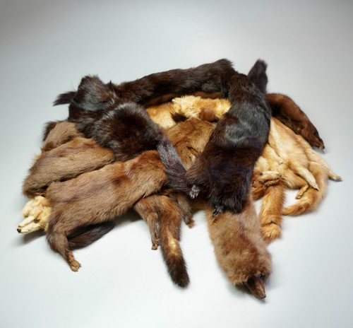 Lotto stole pelliccia - lotto,