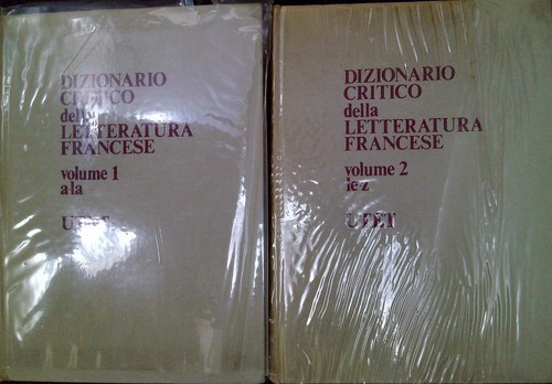 Dizionario critico della