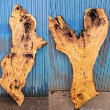 Legno di ulivo disco di legno
