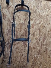 Briglia sintetica senza bit