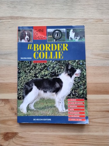 Border collie guida - collie,
