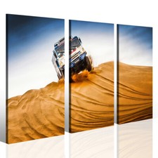 Stampa Su Tela - Rally Gara