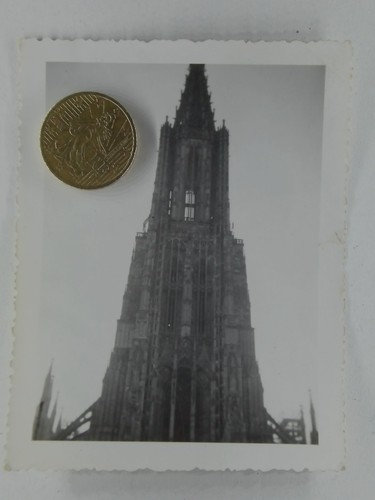 Foto ulm primo piano - primo,