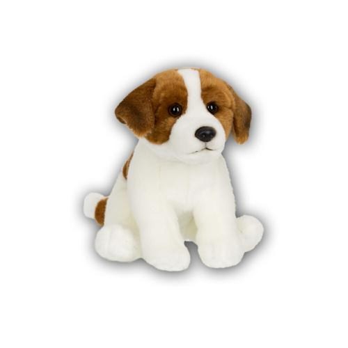 Anna squadra jack russel - squadra,