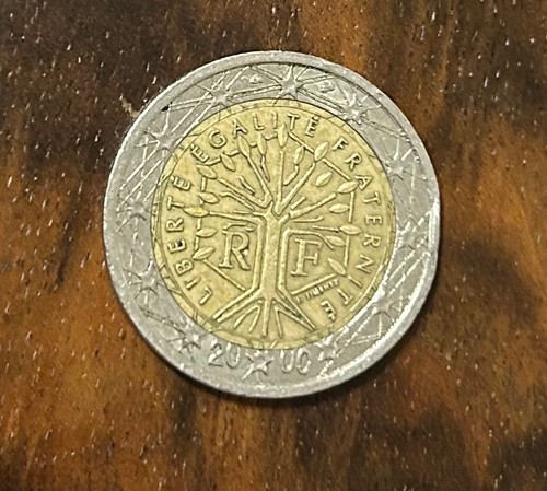 Una moneta euro - euro, francese